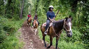 Image result for Greenways Riding Stable Lower Eashing