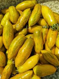 Afbeeldingsresultaat voor banana legs tomato