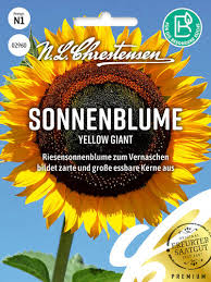 Image result for Sonnenblume