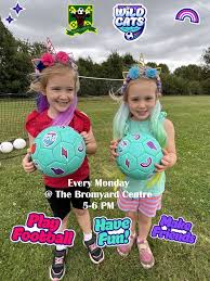 Image result for Bromyard Town Football Club Limited