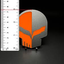 Bildresultat för jake skull