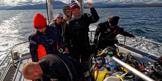 Image result for Mole Valley Sub Aqua Club