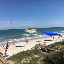 Image result for Litchfield Saracens