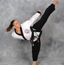 Image result for Alness Tang Soo Do