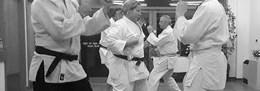 Image result for Taunton Karate Jutsu