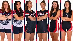 Image result for York University Netball Club