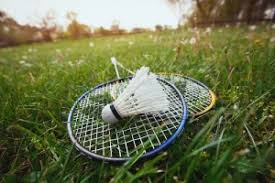 Image result for Meadow Sports Badminton Club