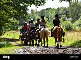 Image result for Chiddingfold Branch Of The Pony Club