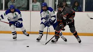 Image result for Cass Sports Northstars