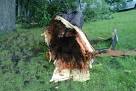 Thunderstorms knock out power to thousands in D.C. region | WJLA.