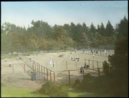 Image result for Claygate Lawn Tennis Club