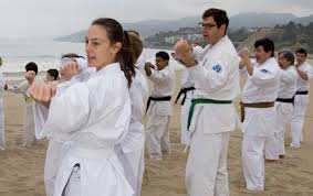 Image result for Aylesbury Vale Seido Karate