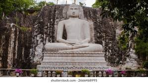 Image result for Buddha Maligavilla Srilanka