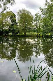 Image result for Cheadle Angling Club