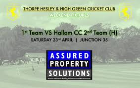 Image result for Thorpe Green Cricket Club