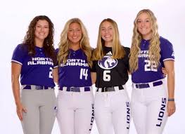 Image result for Lions Softball Club