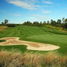 Image result for Black Horse Ballooning Club