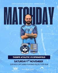 Image result for Thorpe Green Fc