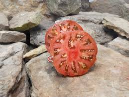 Afbeeldingsresultaat voor carbon tomato