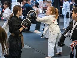 Image result for West Jordan Martial Arts Dojo