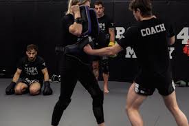 Image result for Vipers Thai/Kickboxing School