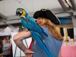 Image result for Brighton Octopush Club