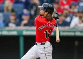 Image result for Schneemann