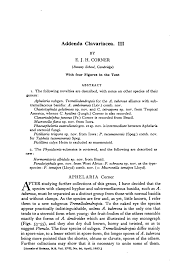 Attēlu rezultāti vaicājumam “Pistillaria sp.”