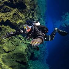 Image result for Dive Solutions, London