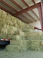 Hay - Wikipedia, the free encyclopedia