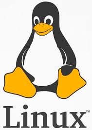 Image result for linux tux