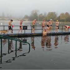 Image result for Serpentine Swimming Club