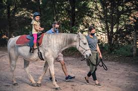 Image result for Greenways Riding Stable Lower Eashing