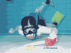 Image result for Nottingham Octopush Club