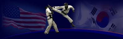 Image result for South Bank Taekwondo