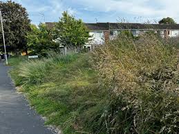 Image result for Woodmancote SMBC