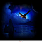 Soar Eagle Fly Animated Graphic and Picture | Imagesize: 816 kilobyte