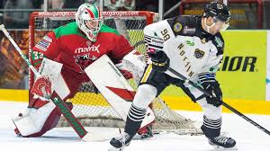 Image result for Nottingham Panthers