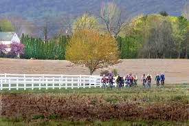 Image result for Reading University Riding Club