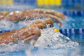 Image result for Elmbridge Phoenix Swimming Club