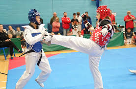 Image result for New Milton Taekwondo Club