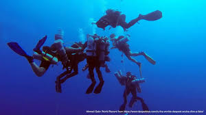 Image result for DeeperBlue.net Tribe (South London)