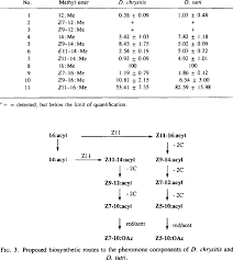 Attēlu rezultāti vaicājumam “Diachrysia tutti”