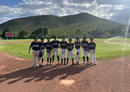 Image result for Sidewinders Baseball Club