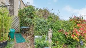 Image result for Peasedown-St-John Cc