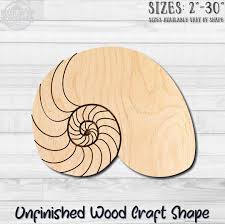 Image result for mountain top seashell