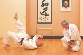 Image result for Colchester Wado Ryu Karate