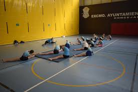 Image result for Lynx Gymnastics Club