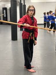 Image result for Professional  Martial Arts Academy