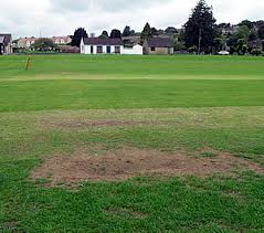 Image result for Wincanton Cricket Club